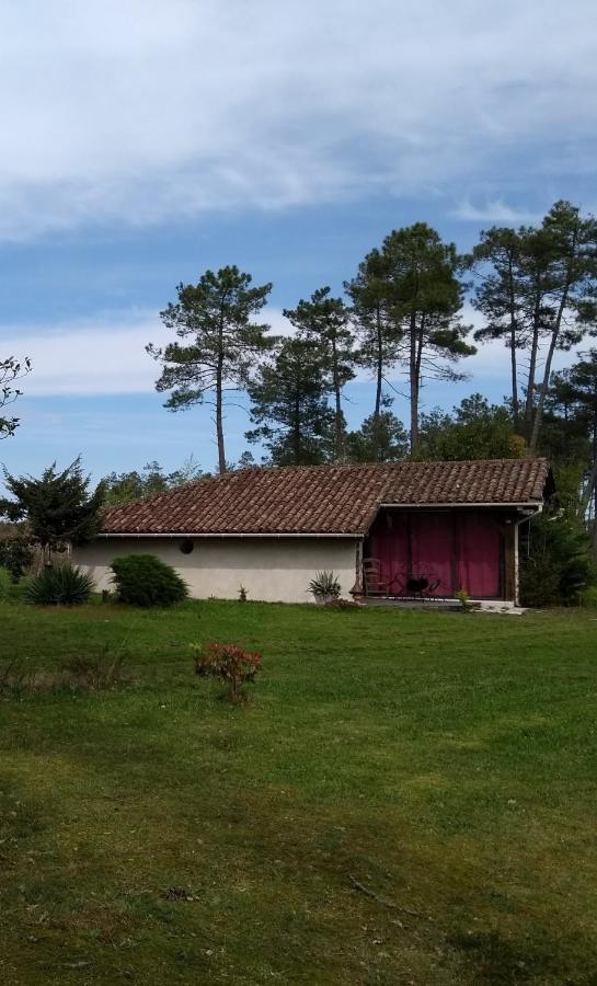 Maison Confortable Avec Terrasse En Bois Au Calme Sans Vis A Vis , 2 Chambres, Sur Un Parc De 4000M2 Arbore Et Clos Pissos Екстериор снимка